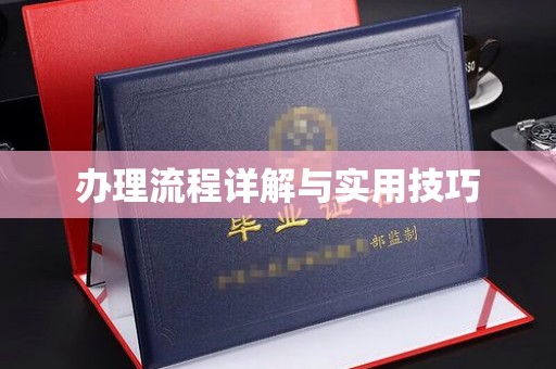 晴隆办理流程详解与实用技巧