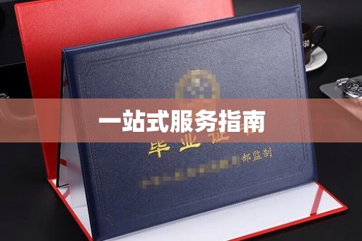 晴隆一站式服务指南