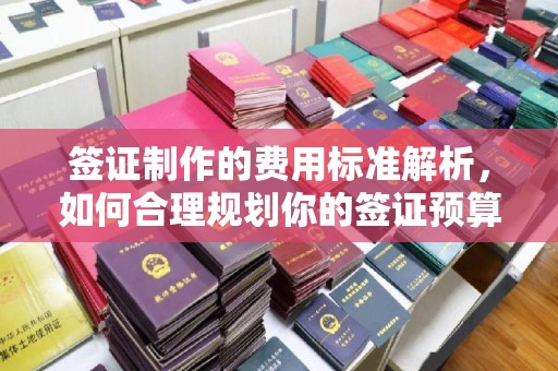 晴隆签证制作的费用标准解析，如何合理规划你的签证预算