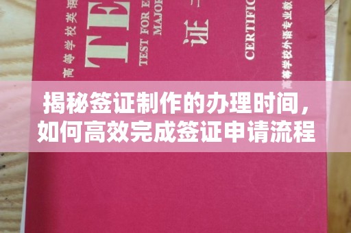 晴隆揭秘签证制作的办理时间，如何高效完成签证申请流程